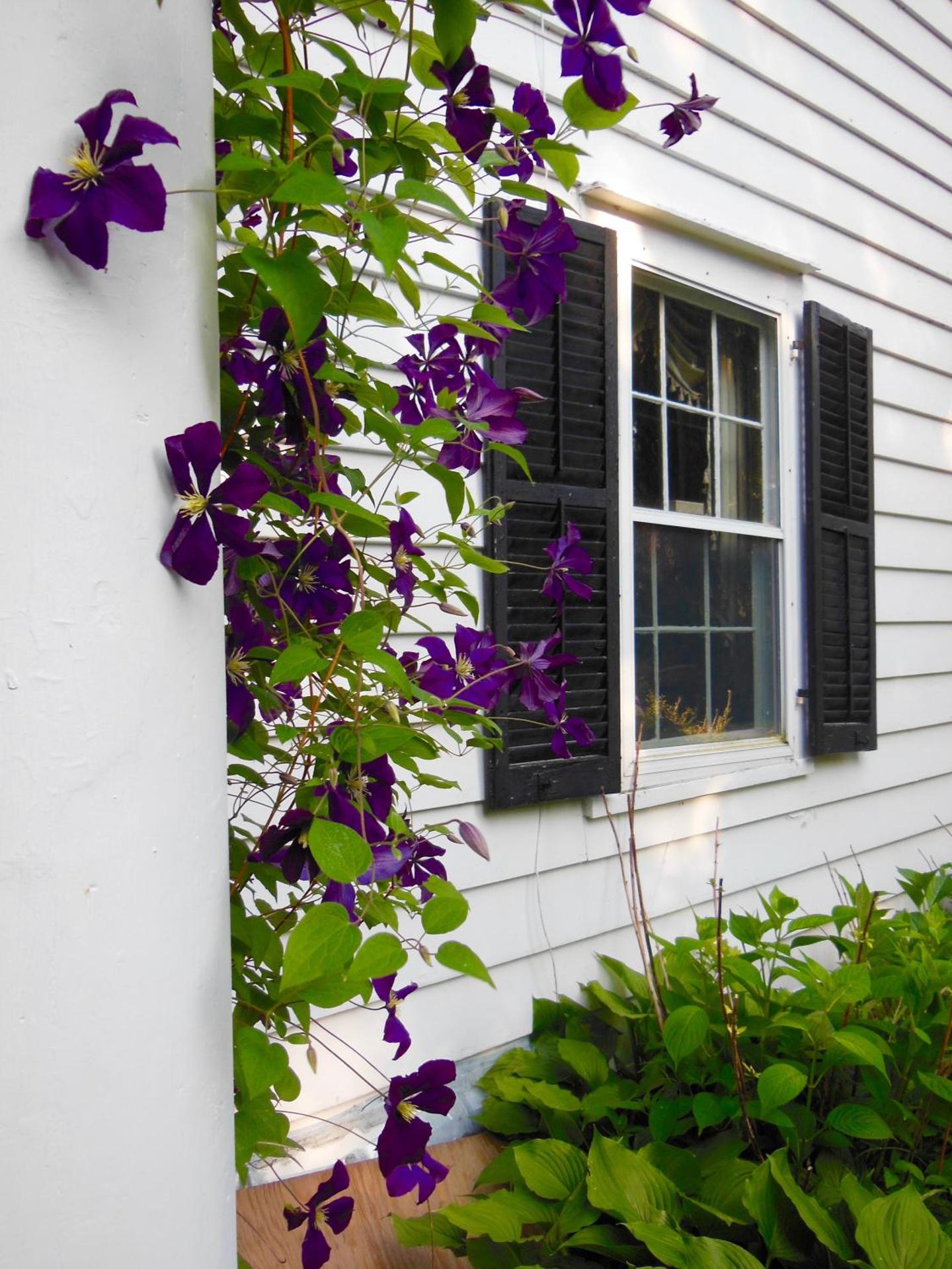 Millbrook Country House