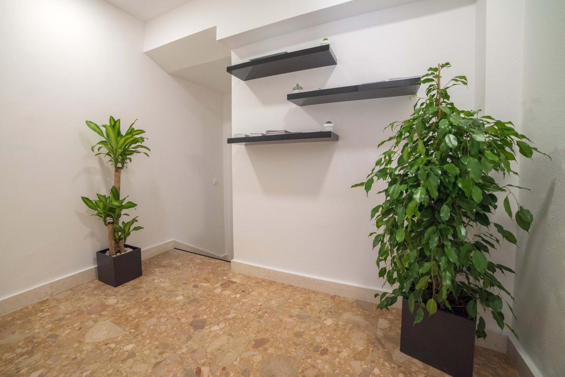 Luxury apartments Petrovac