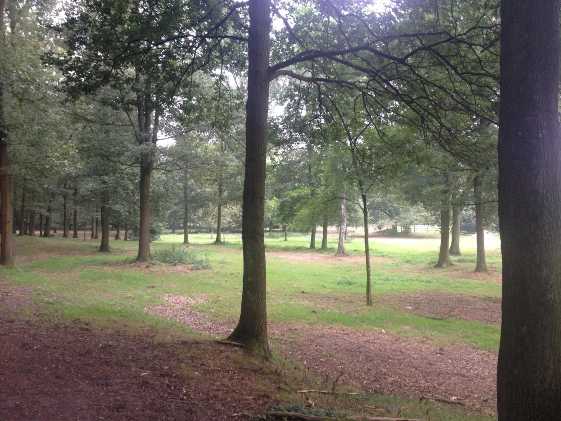 B&B Landgoed Bergerven