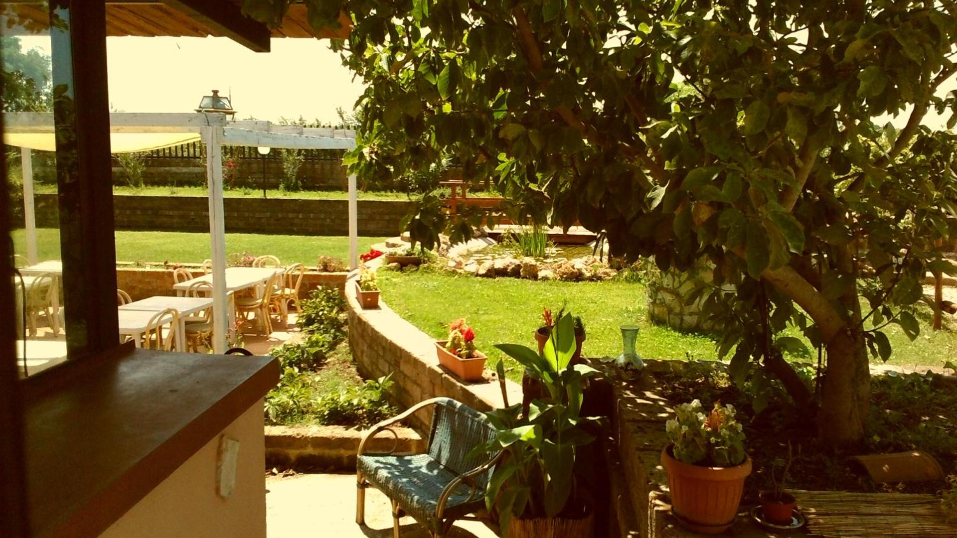 Garden view