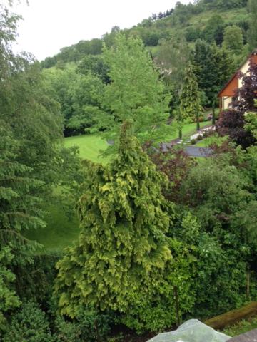 chambres d'hotes " Le Magnolia "