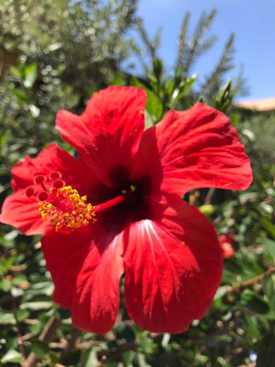 Stunning Sicilian Villa