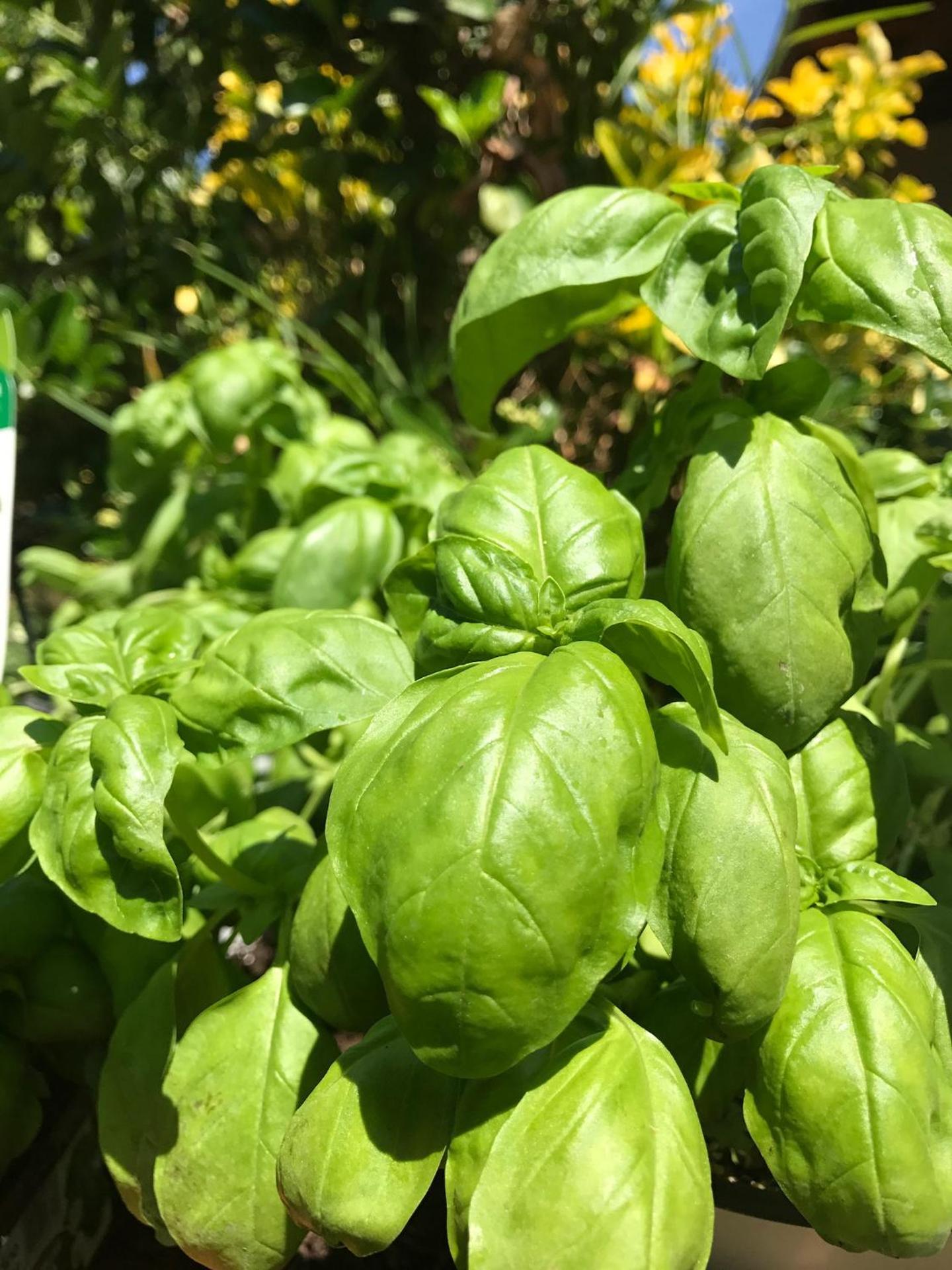 Stunning Sicilian Villa