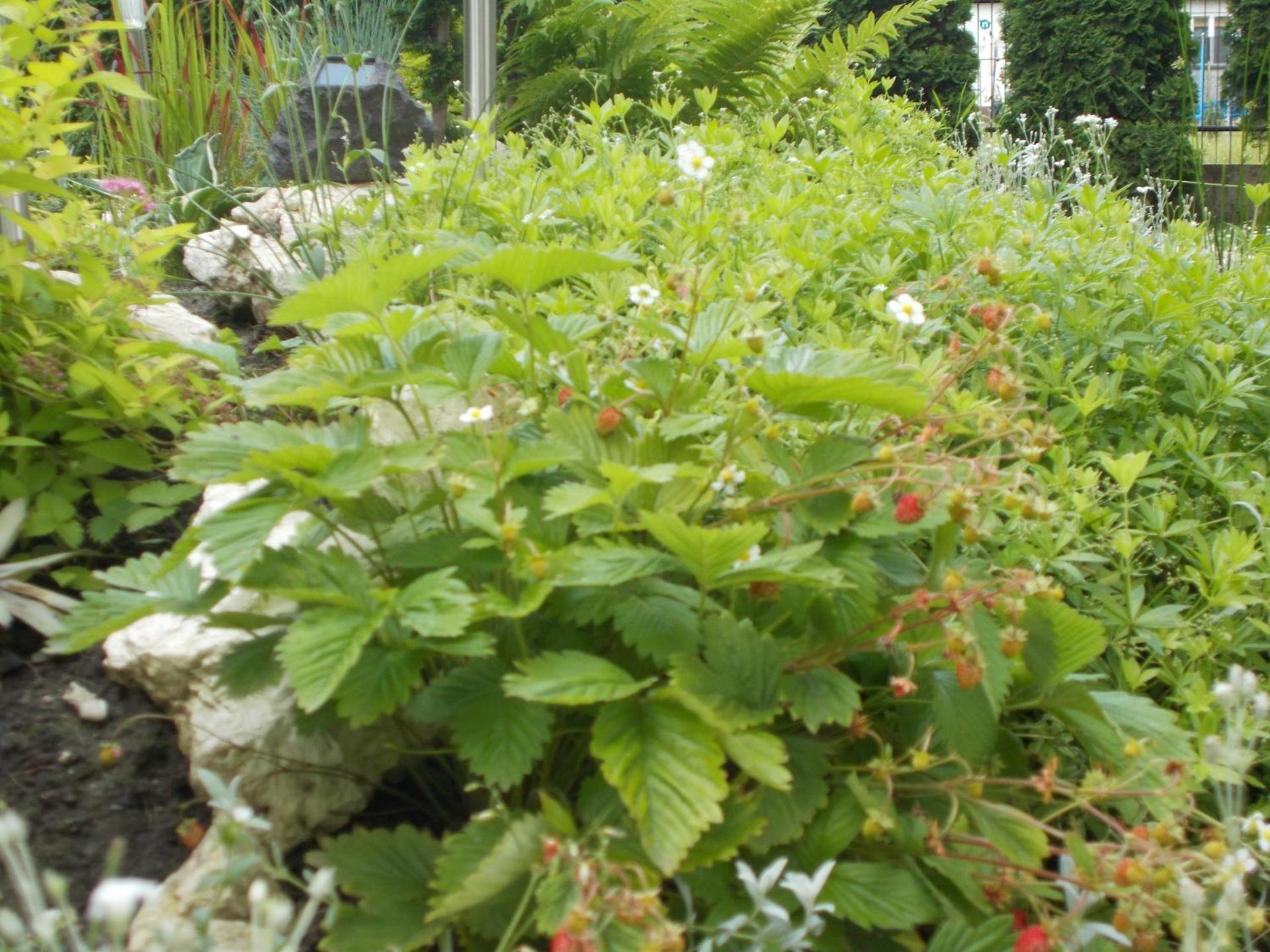 Apartamenty Nad Wisłą