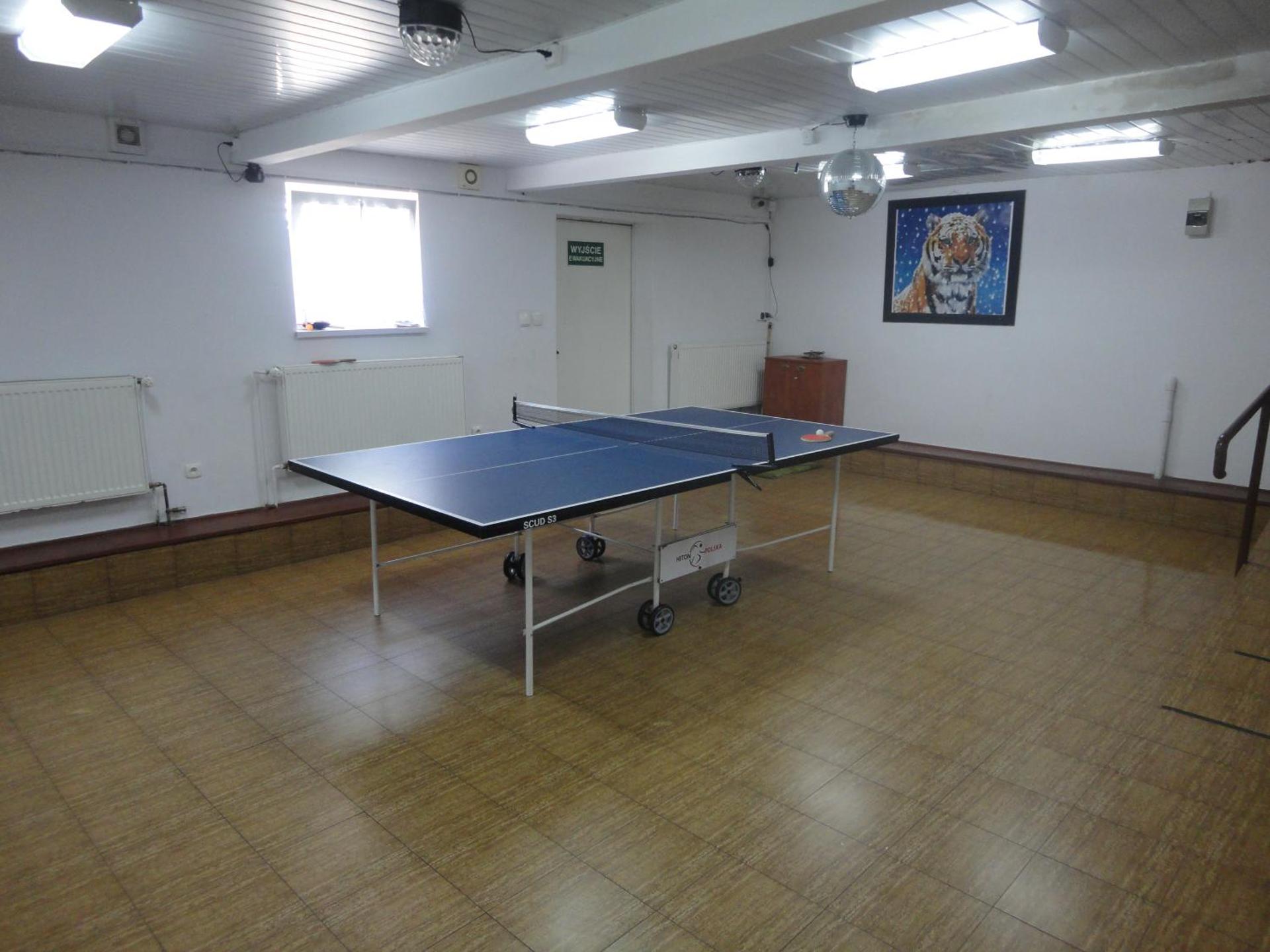 Table tennis