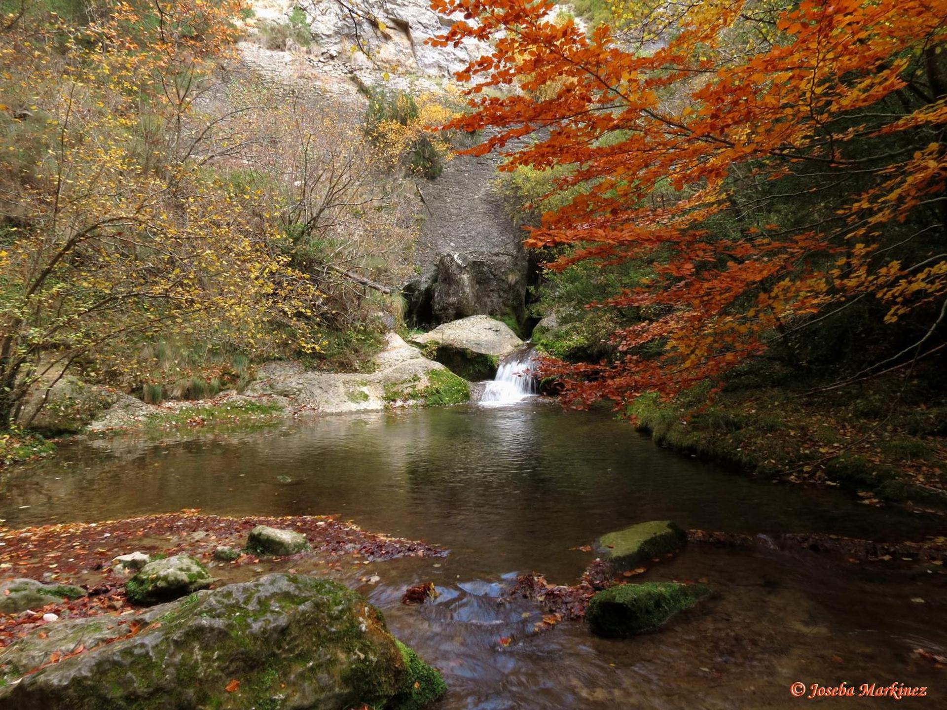 Elai Etxea Loft Baias