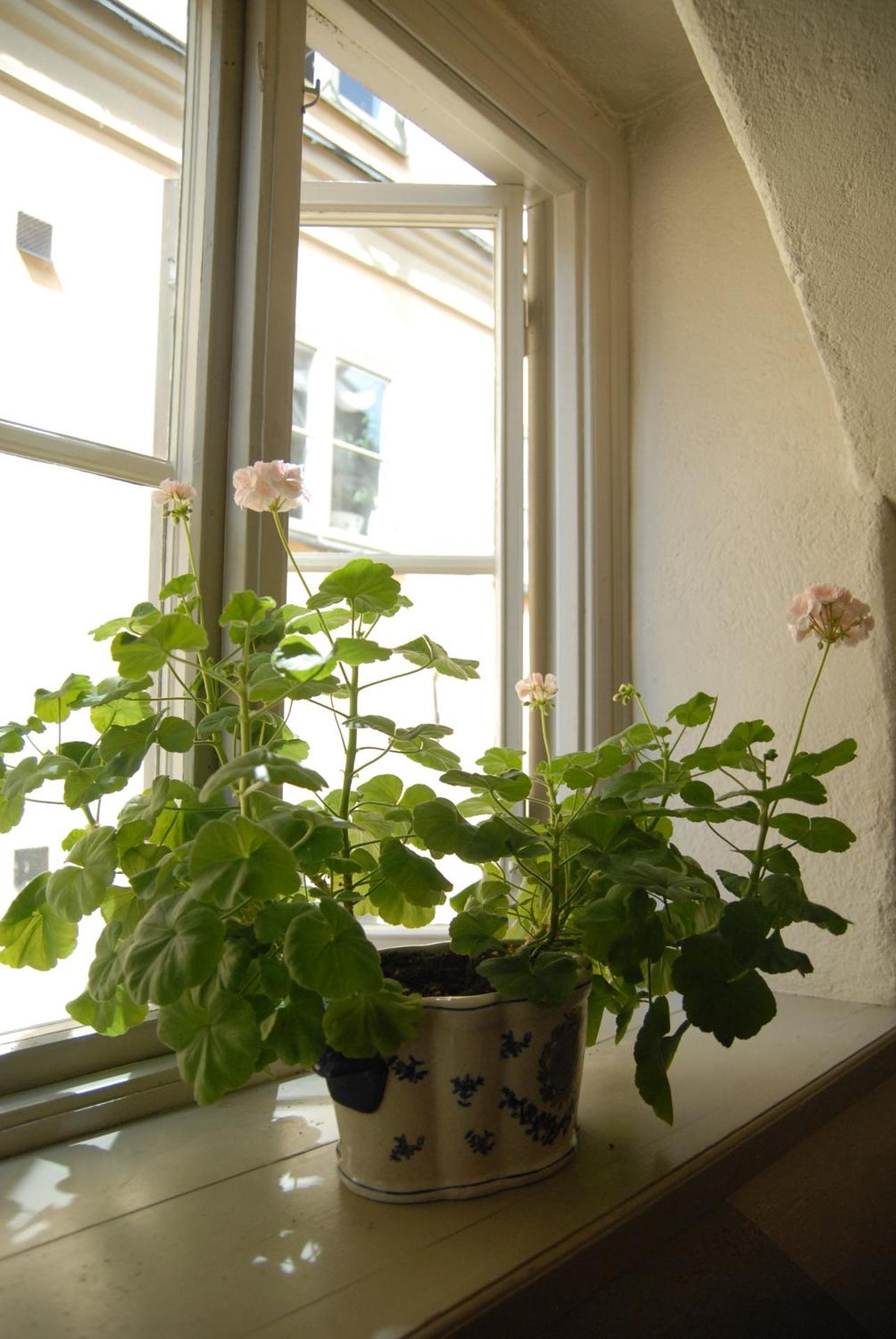 Hotel Sven Vintappare