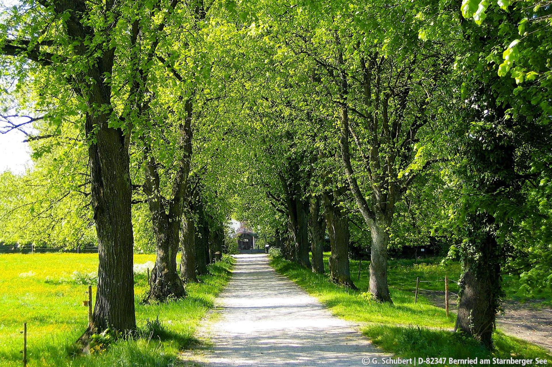 Landgasthof Drei Rosen