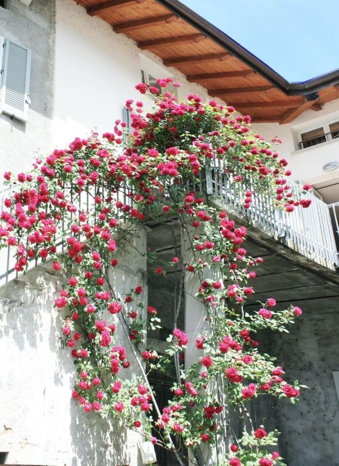 "Il Cortile" Apartment