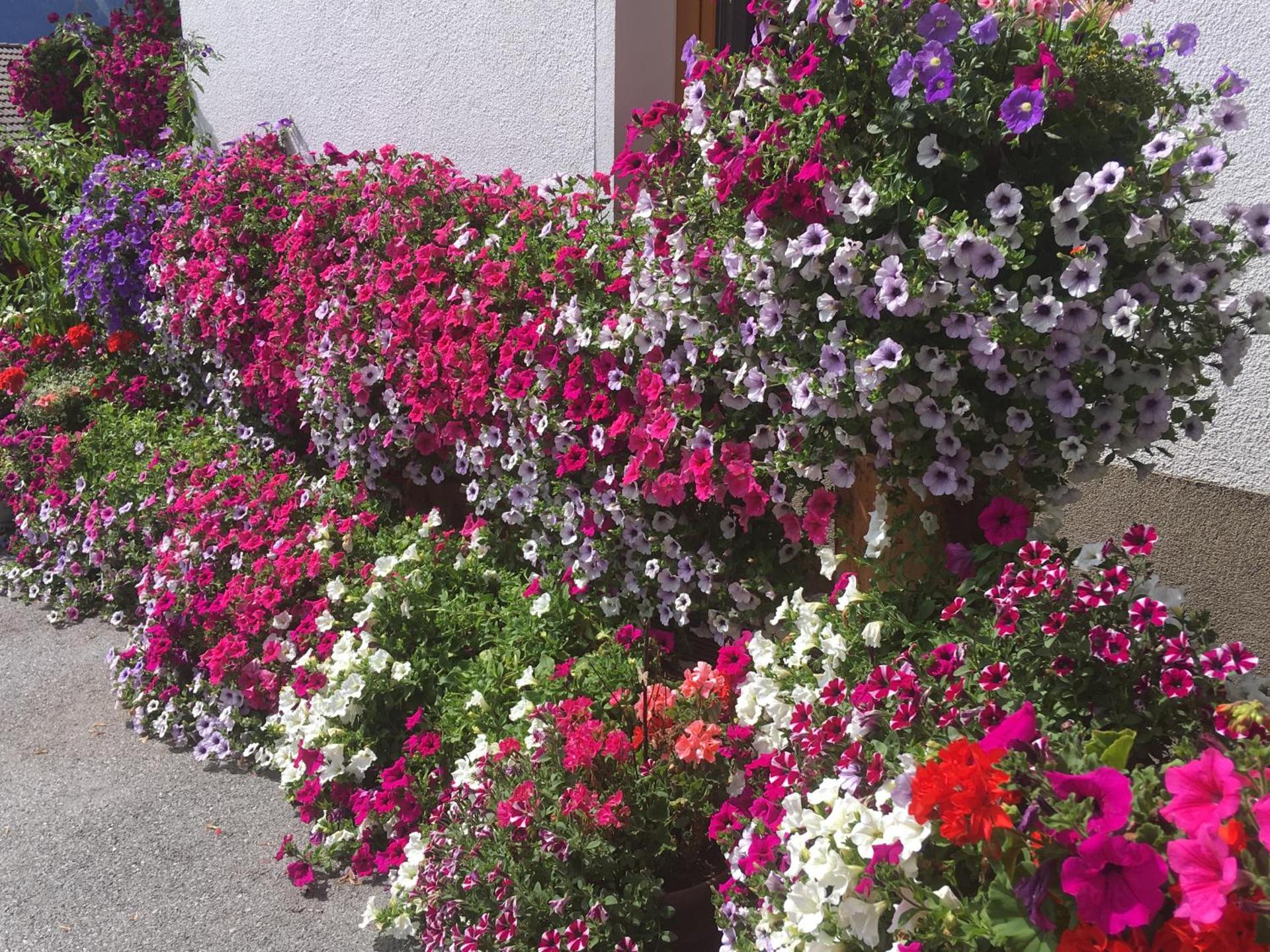 Pension Burgschroffen