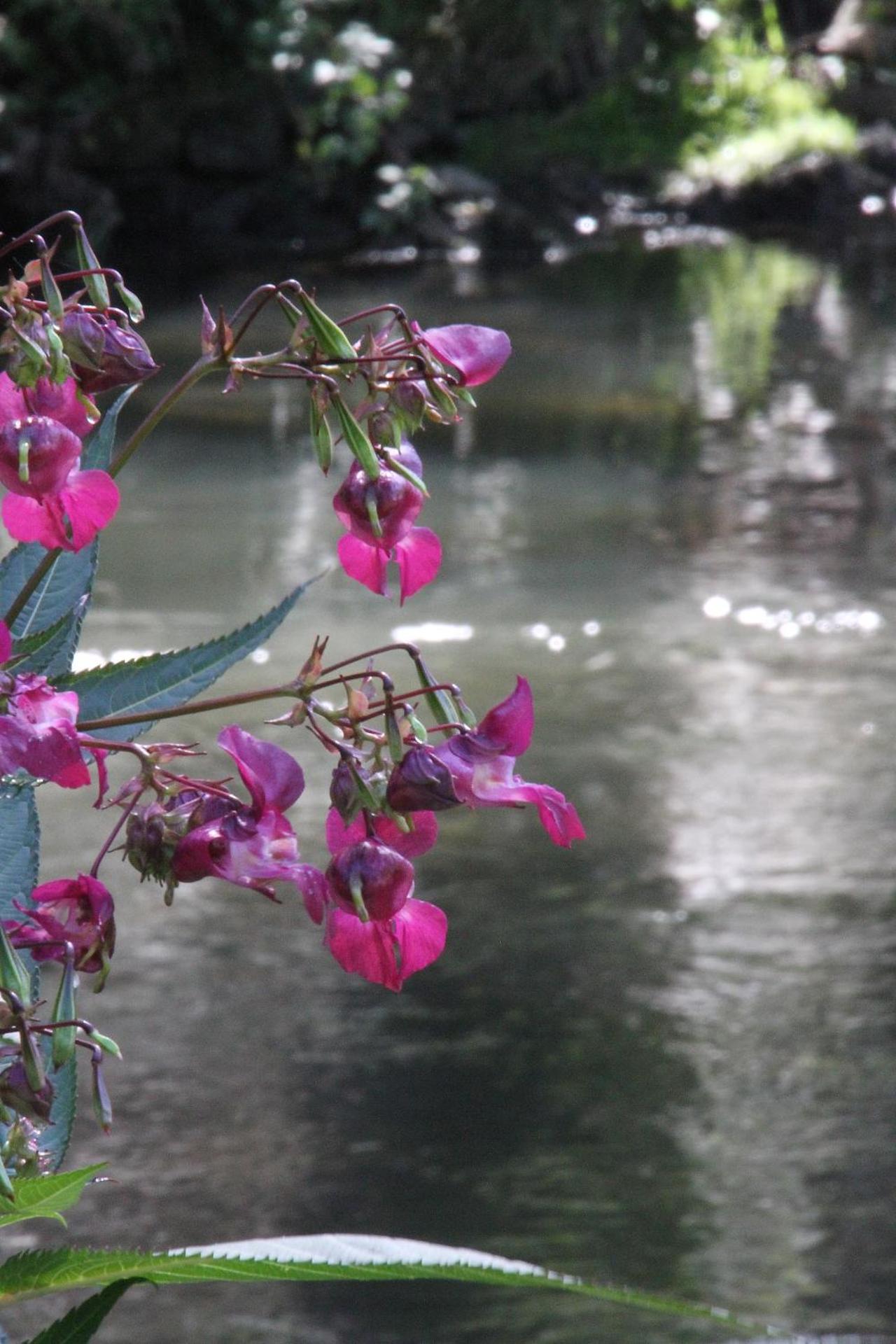 Business Class Hotel Häckermühle