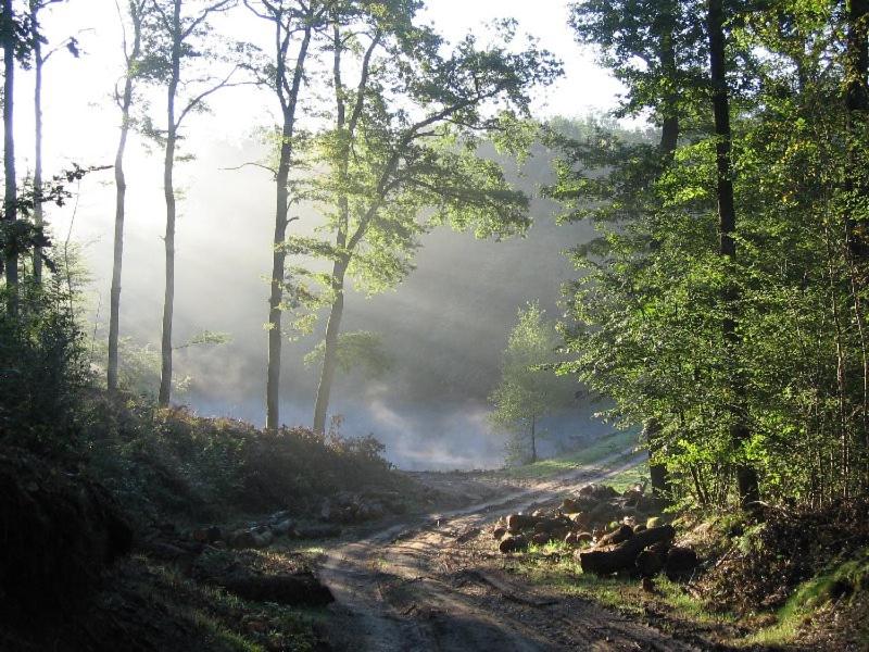 La maison du bûcheron