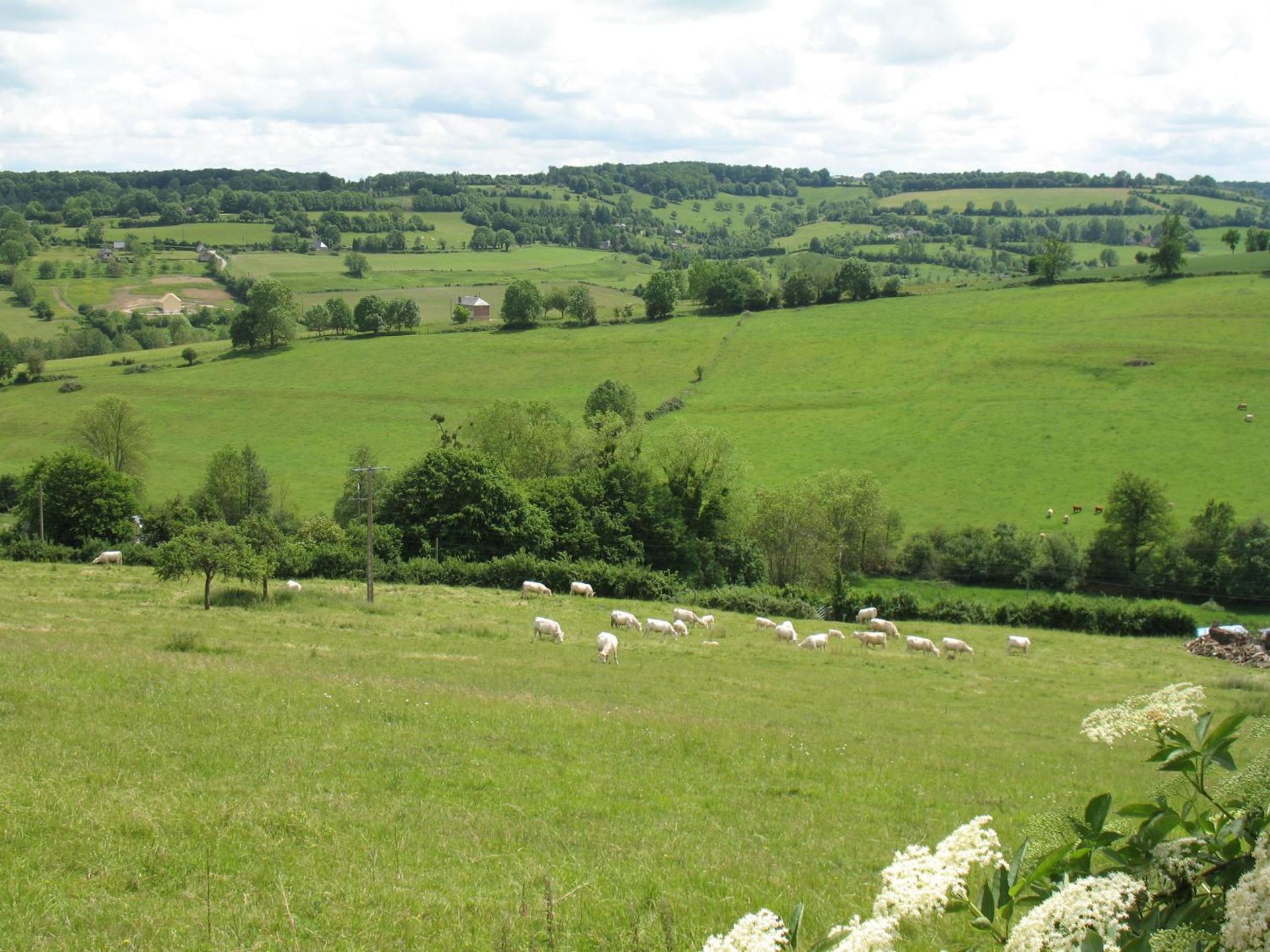 Gîte " Le Normand " Sa Vue Splendide