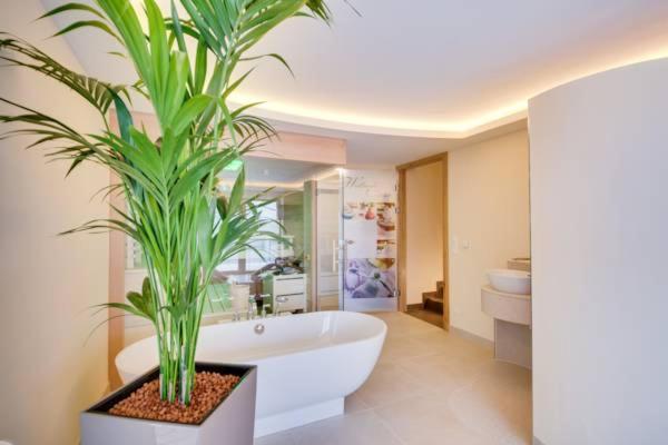 Spa and wellness centre/facilities