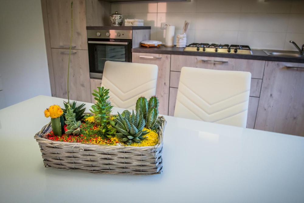 Appartamenti vicino al mare