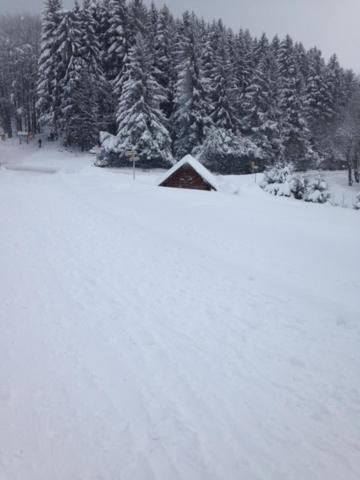 chambres d'hotes " Le Magnolia "