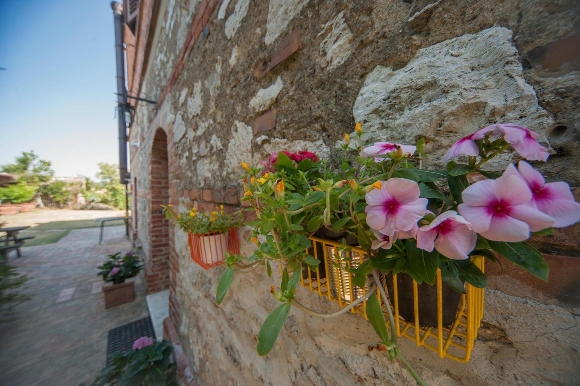 Agriturismo Podernuovo