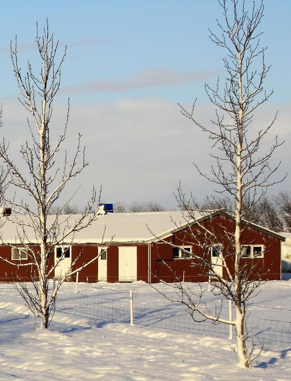 Kaldbakur Guesthouse