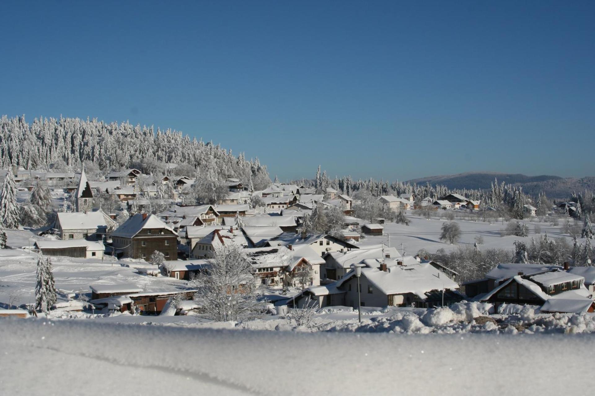 Pension Philippsreut "Zum Pfenniggeiger" Am Goldsteigwanderweg