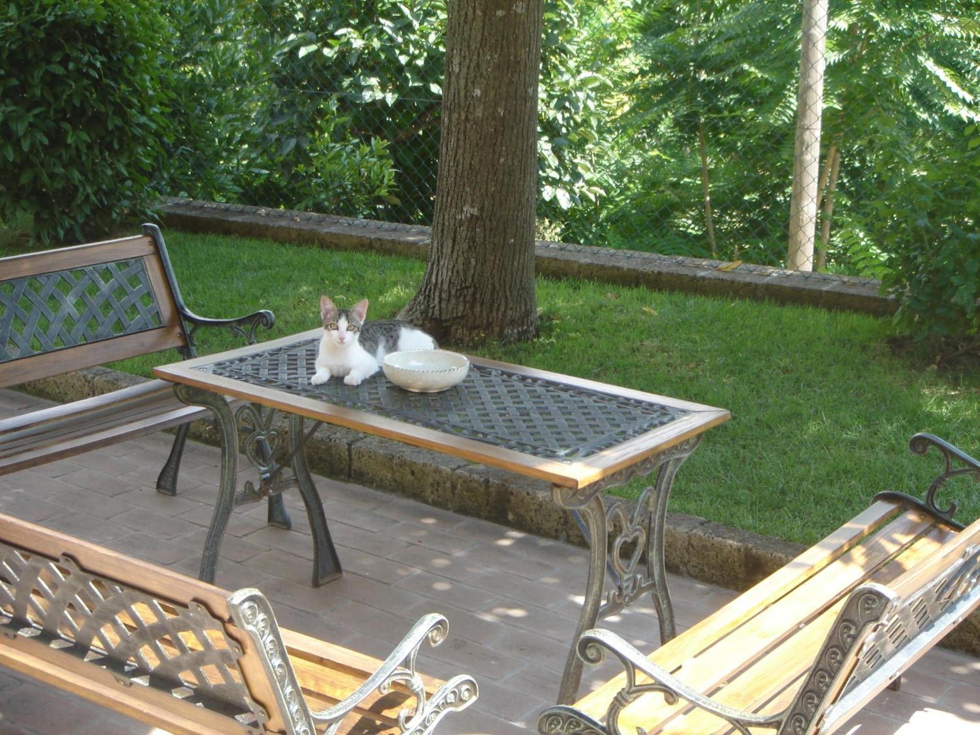 Country House Il Tiglio