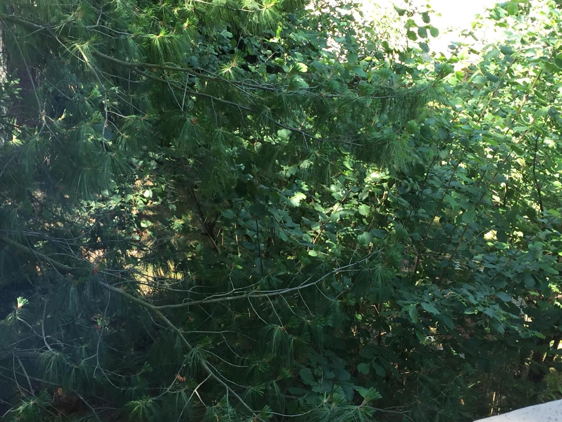 Hotel Restaurant de l'Europe