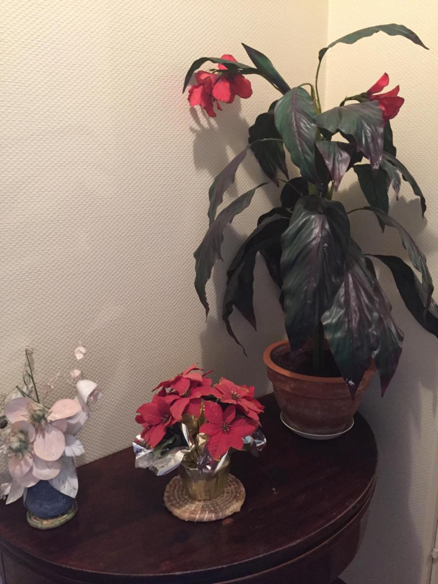 Hotel Restaurant de l'Europe