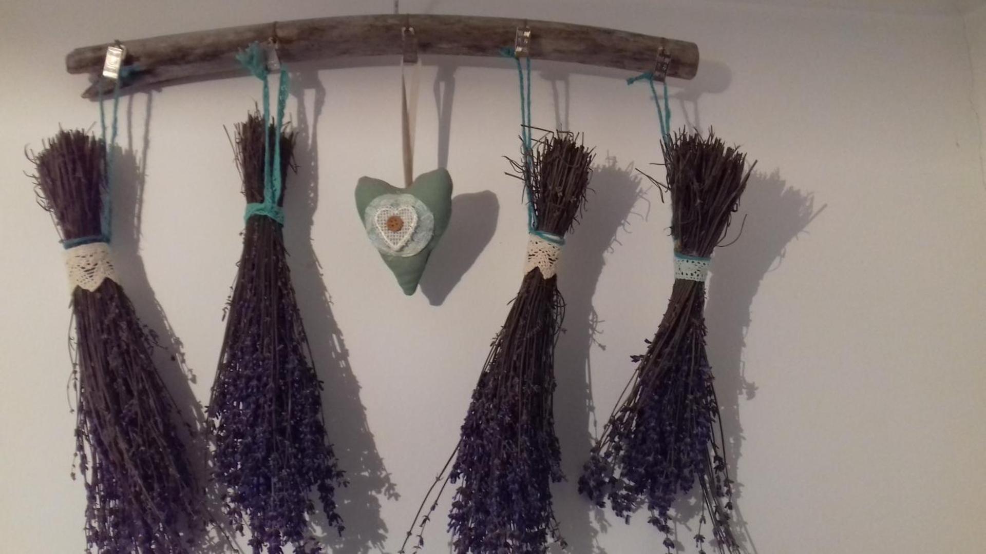 Tulipános Vendégház