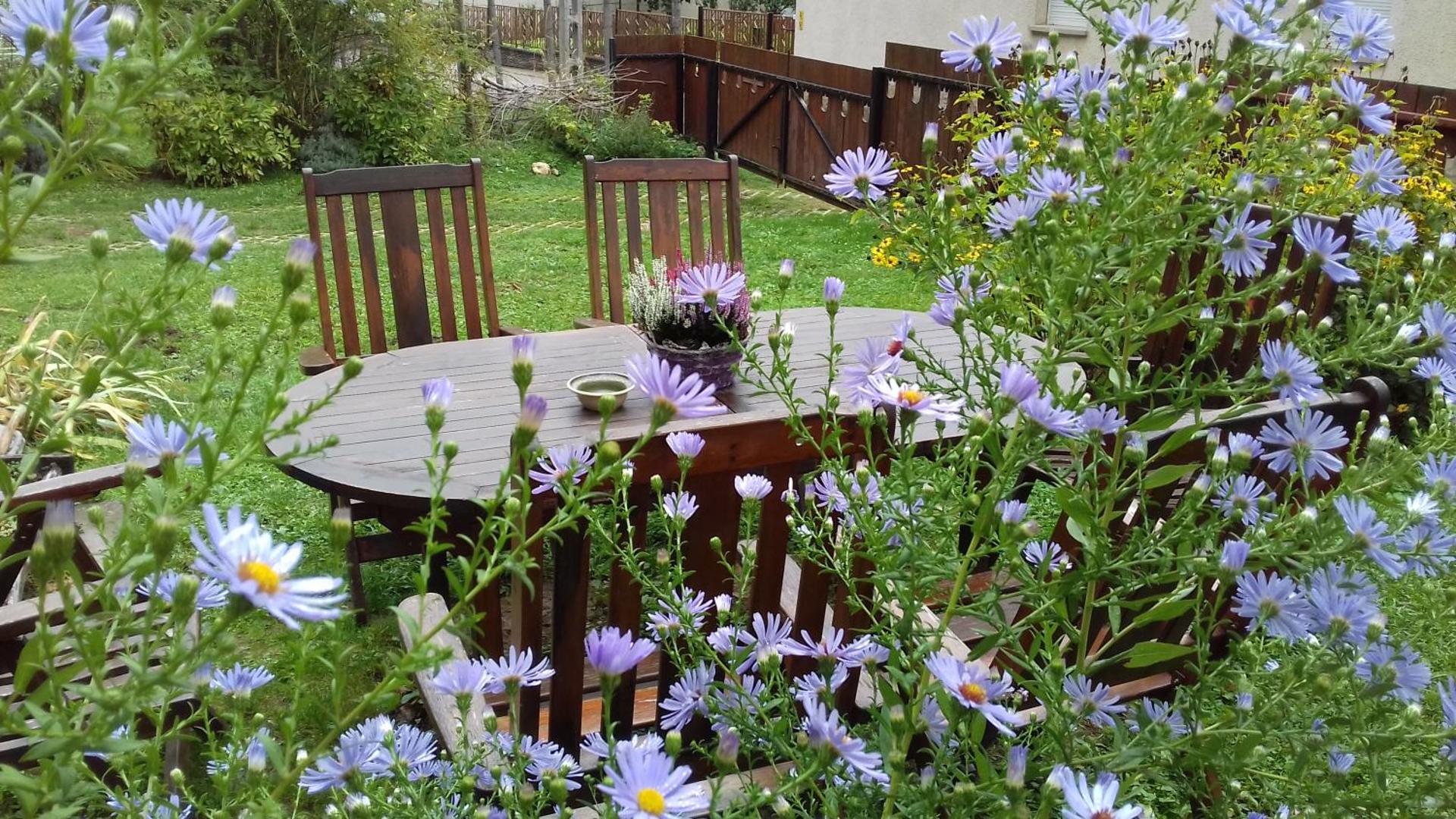 Tulipános Vendégház