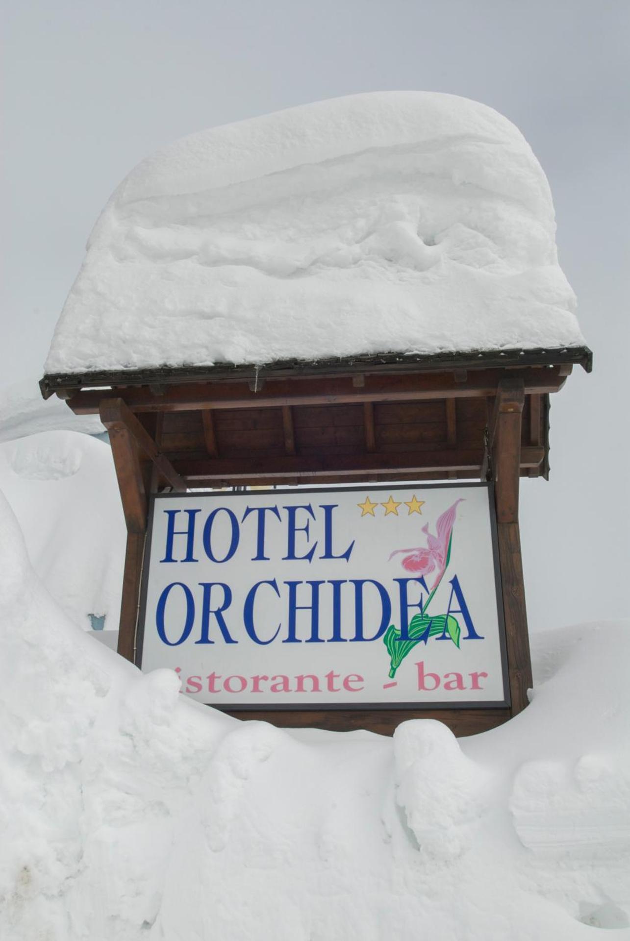 Hotel Orchidea