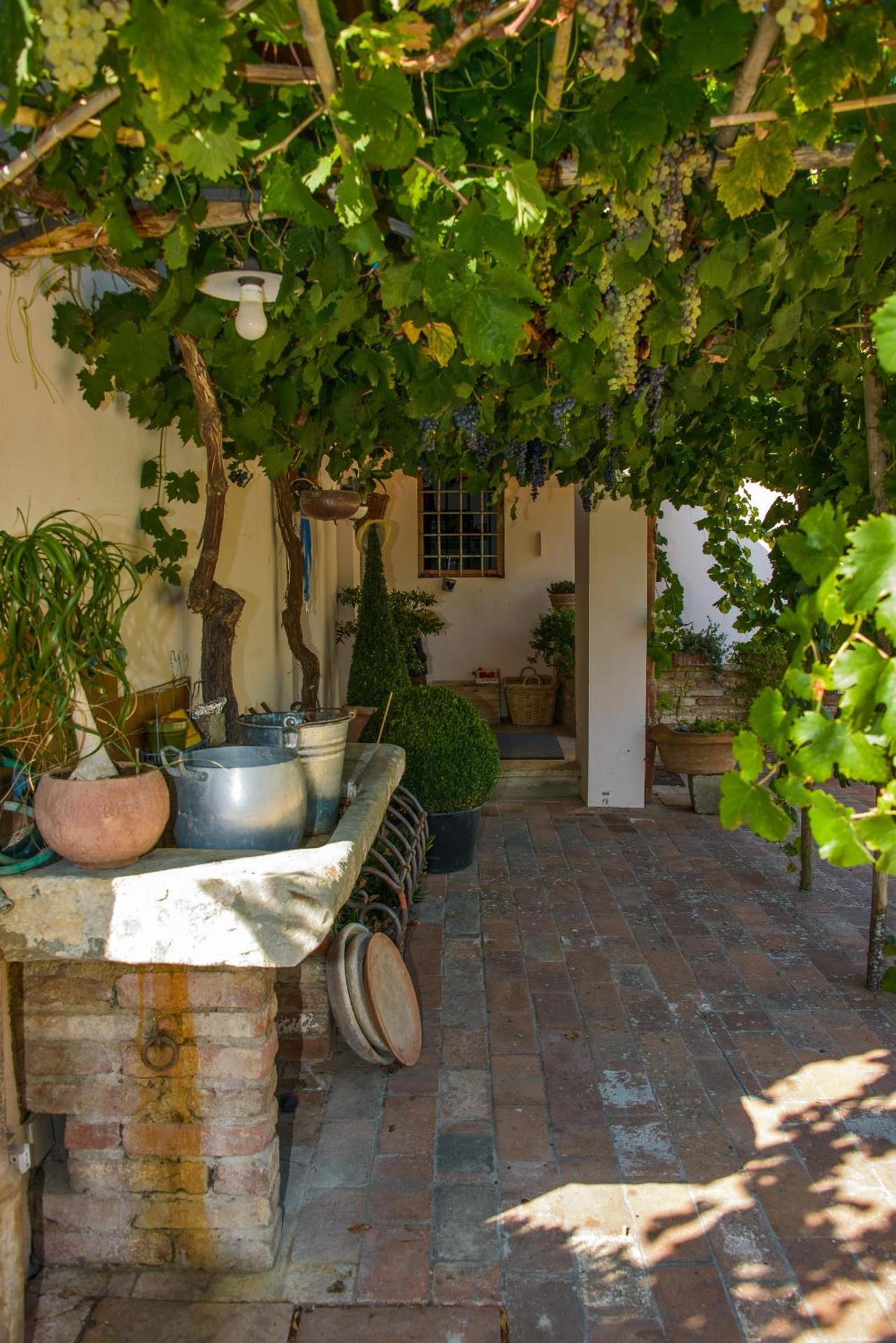 Agriturismo Olmi Grossi