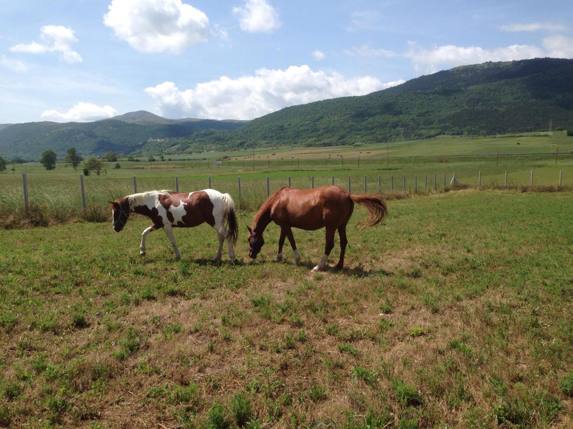 Agriturismo Centuria