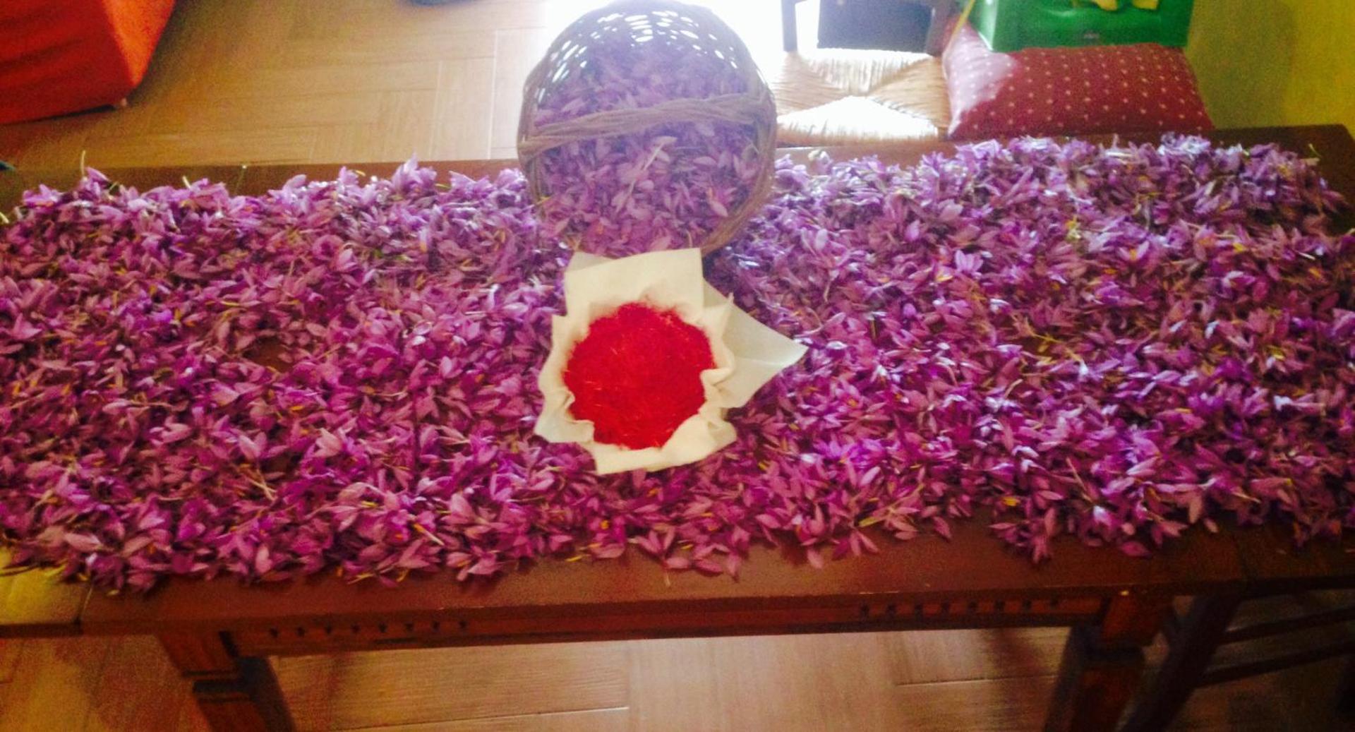 Agriturismo Centuria