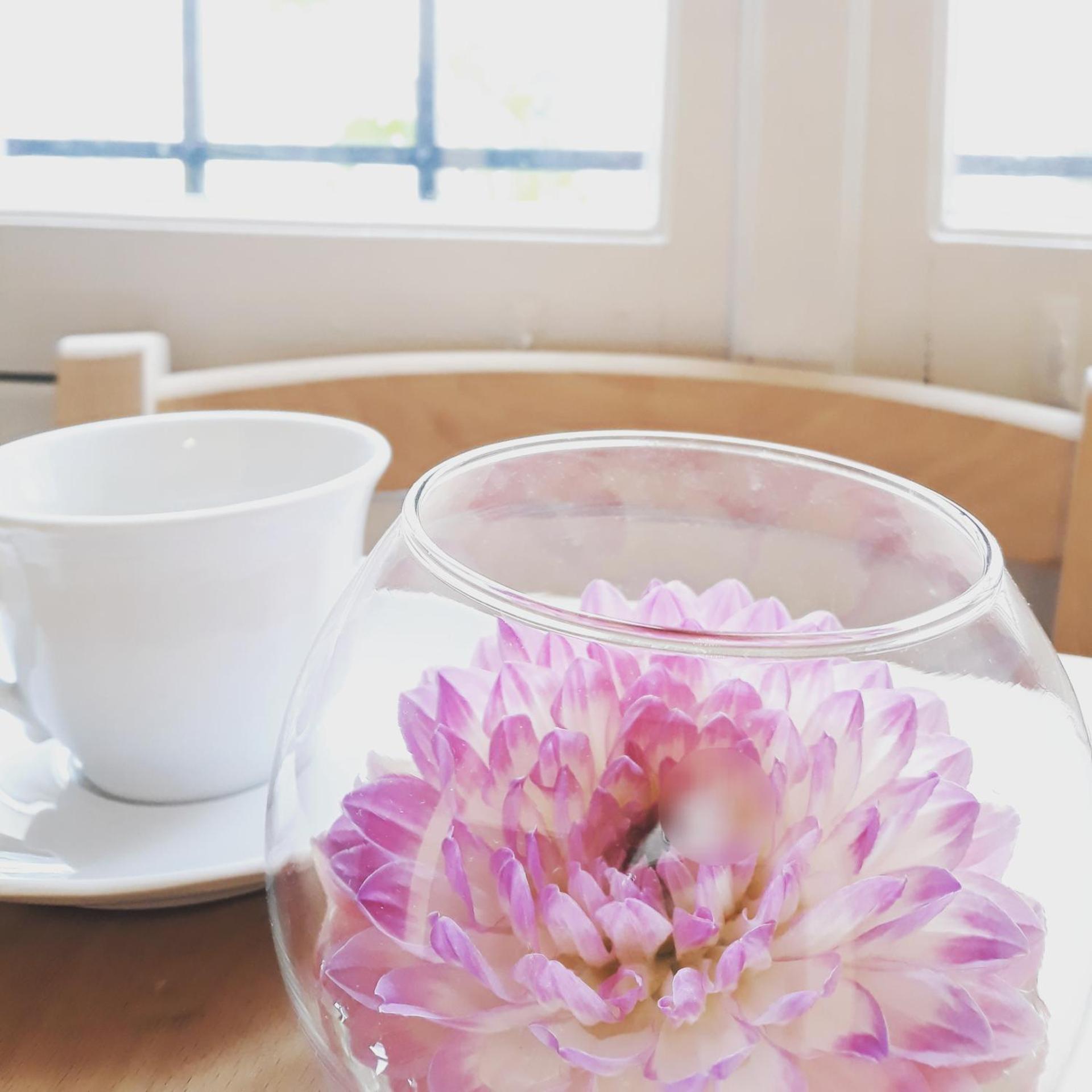 Continental breakfast