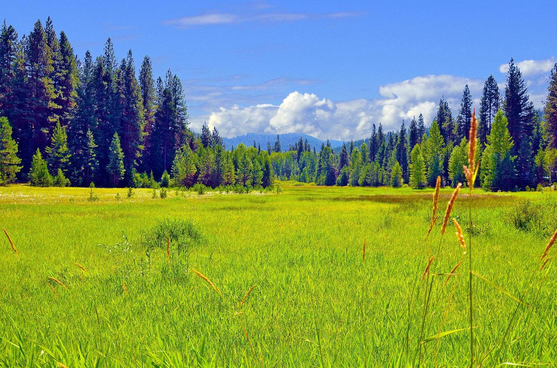 Leavenworth Camping Resort Tiny House Hanna