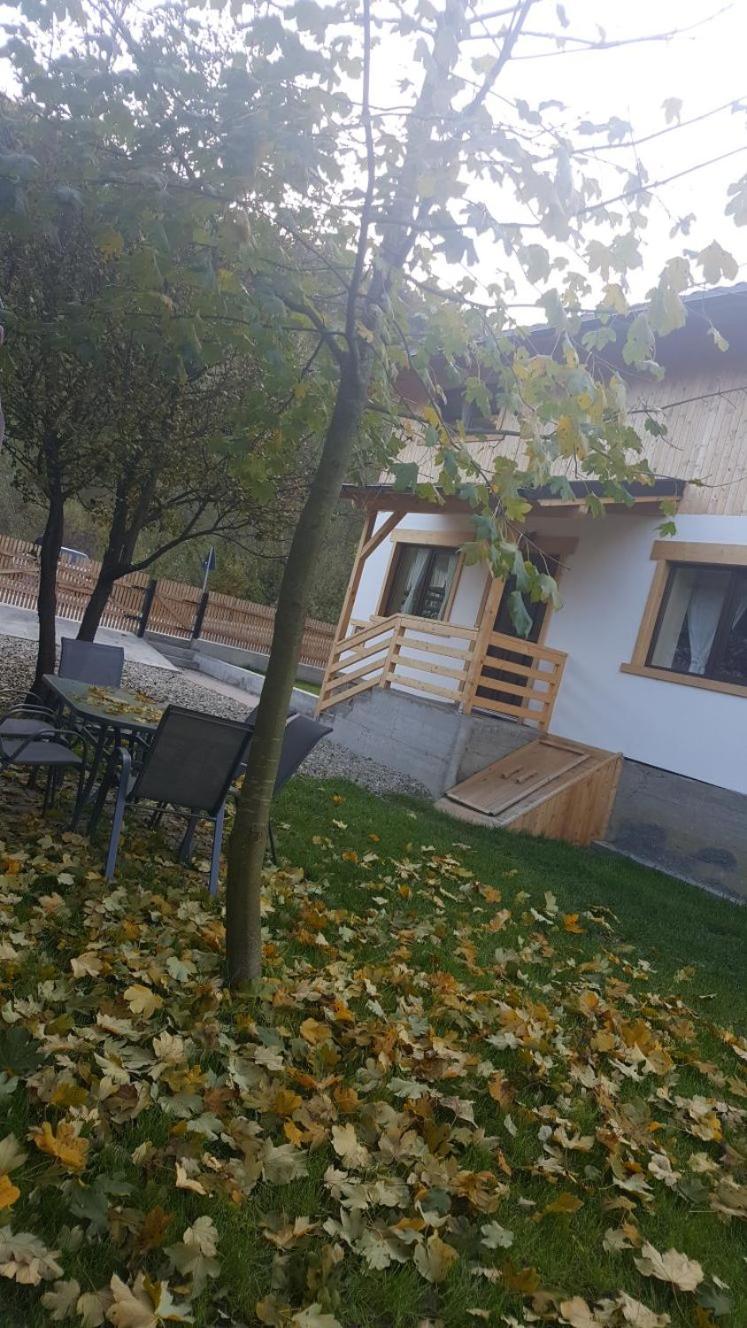 Guest House Carpathia