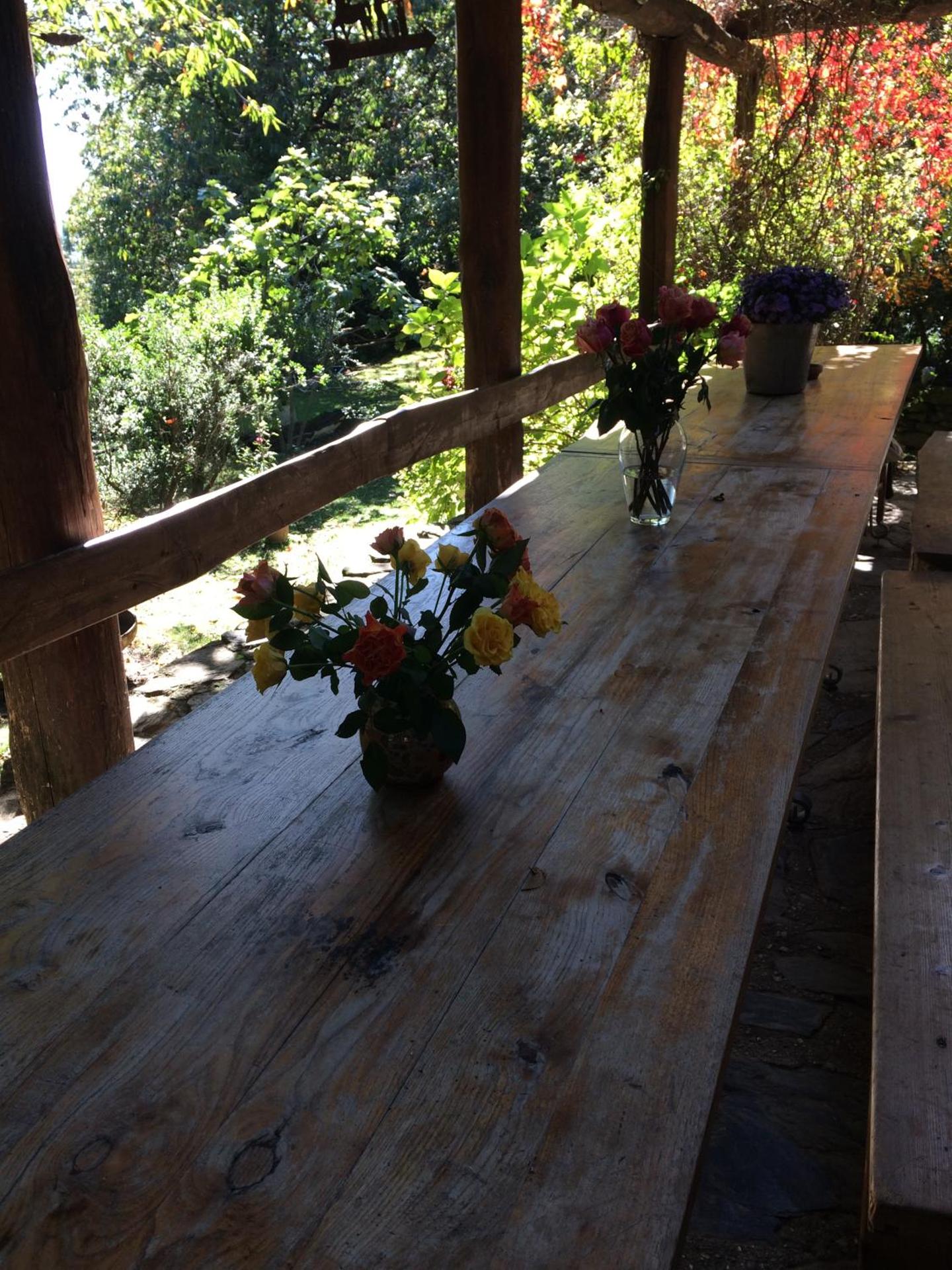 Monte Brugiana Centro trekking a cavallo