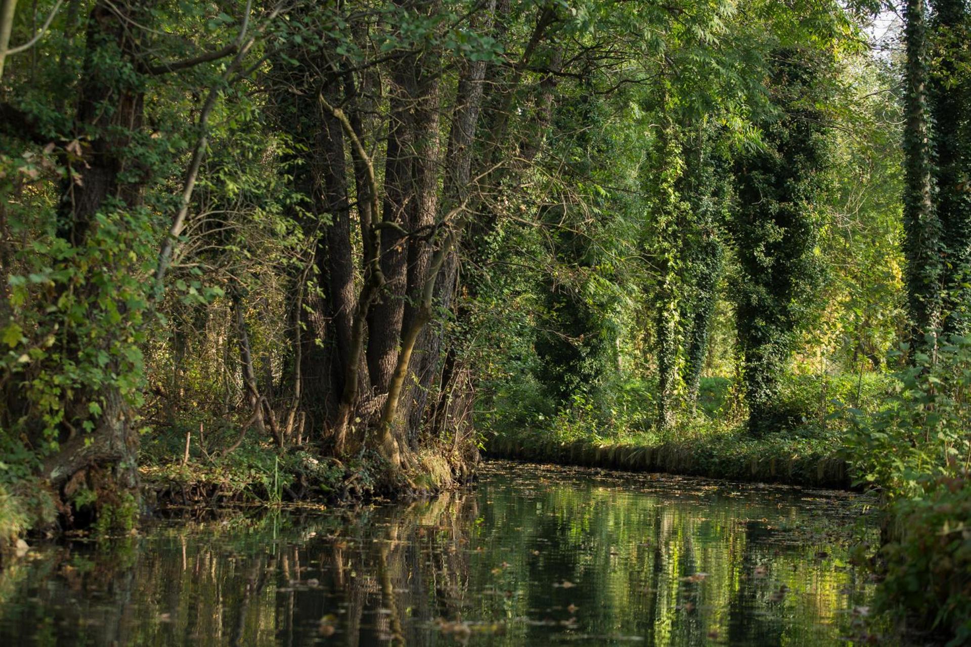 Spreewaldferienwohnungen