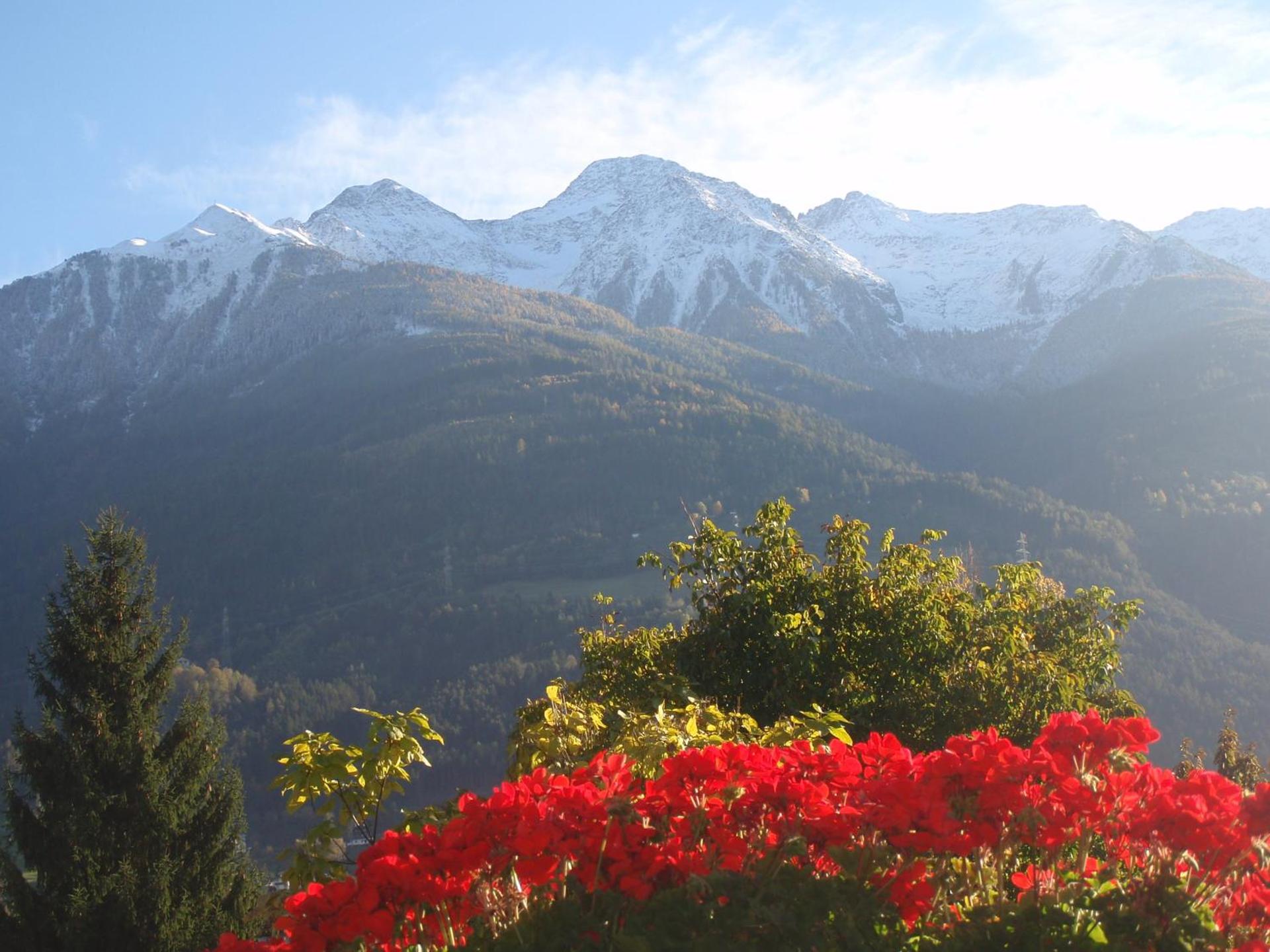 View (from property/room)