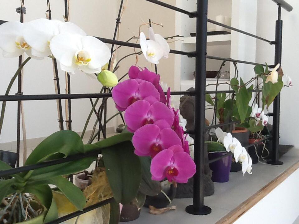 Maison d'hôtes Les Coudreaux