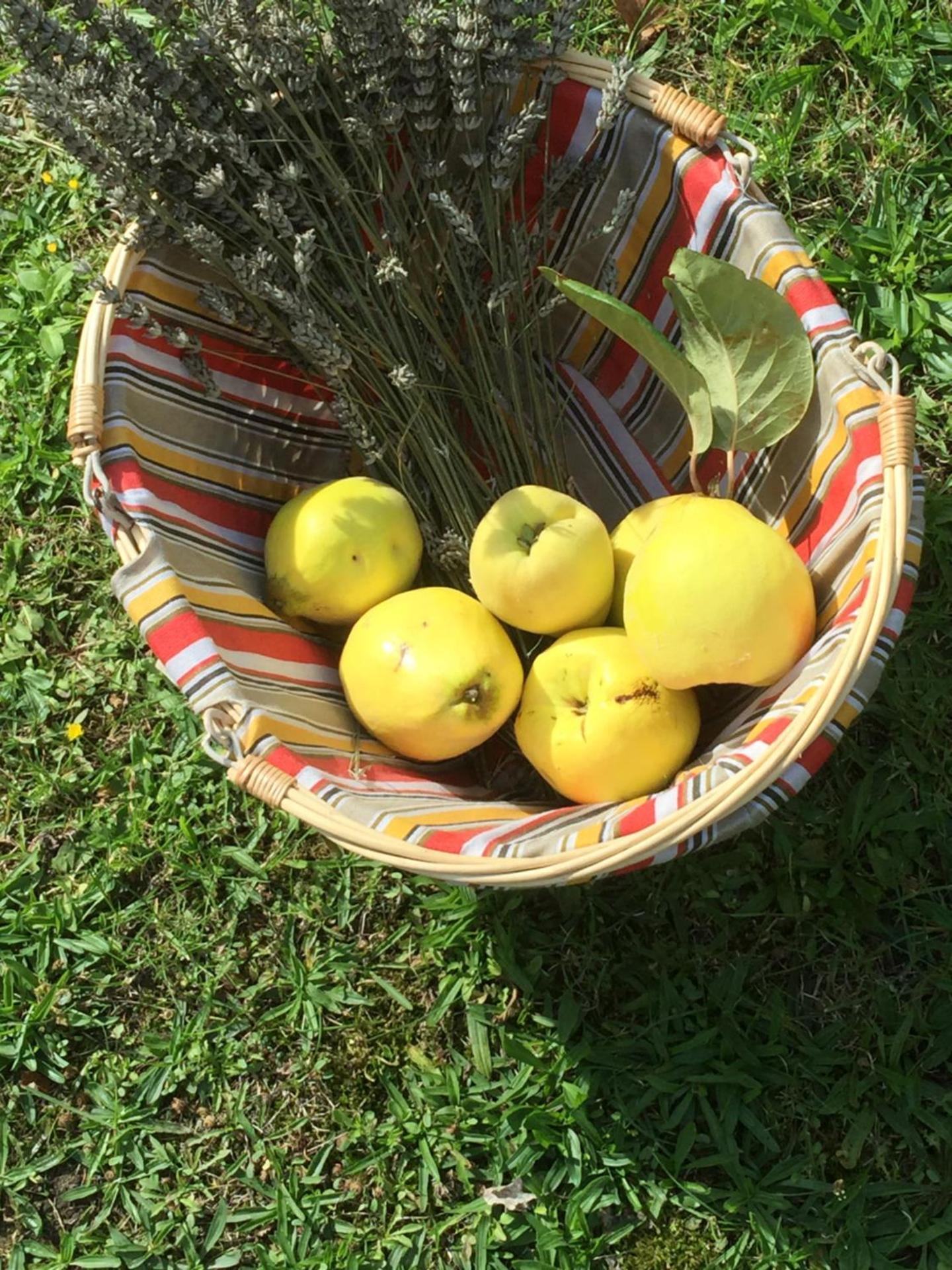 Maison d'hôtes Les Coudreaux