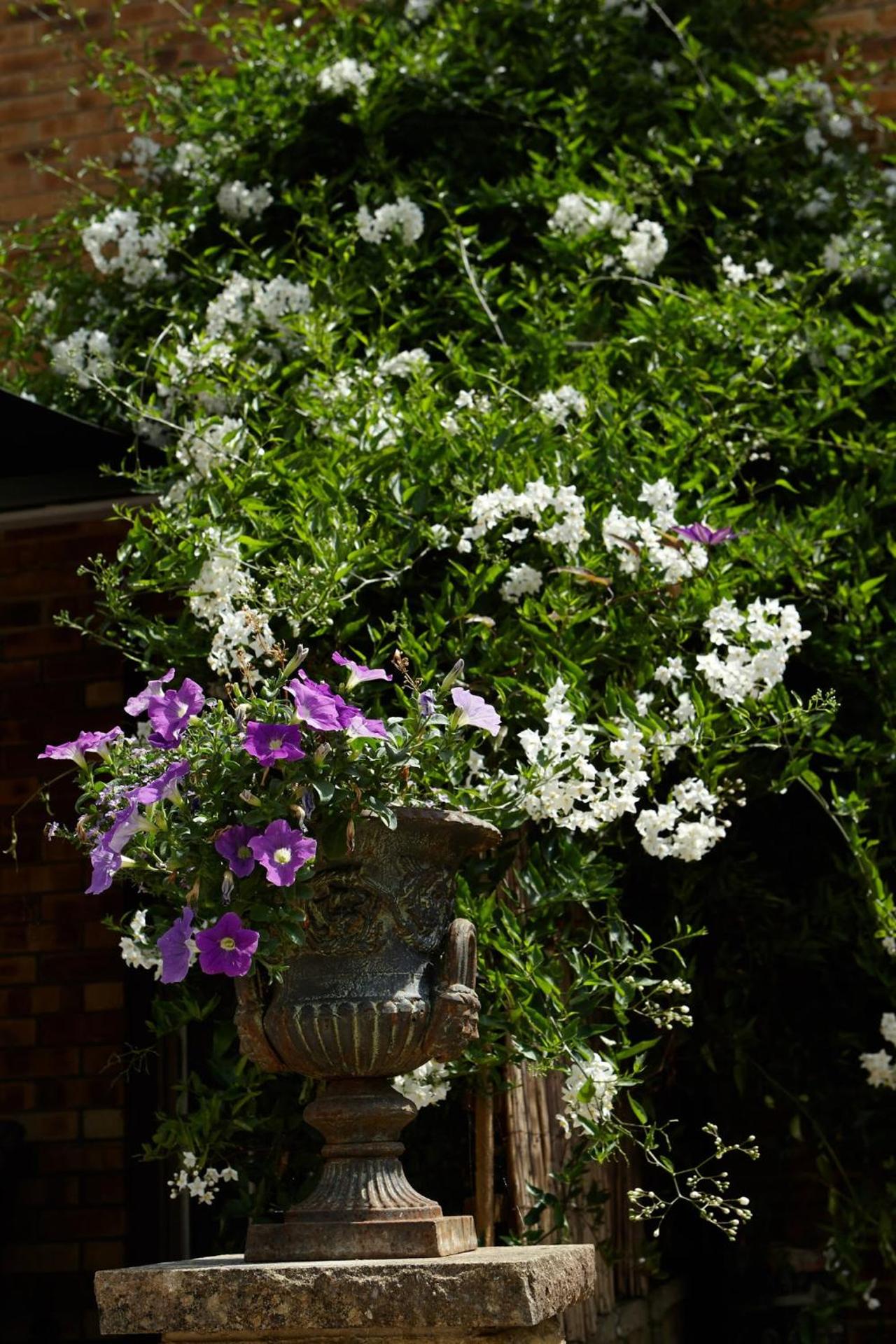 Richmond Lane Guest House - AA Accredited