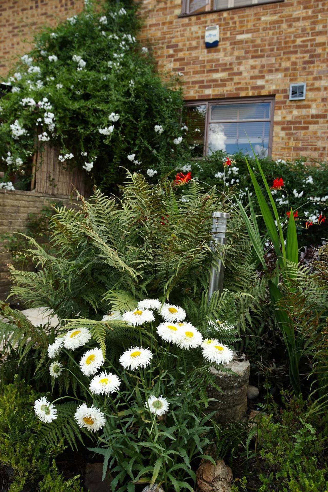 Richmond Lane Guest House - AA Accredited