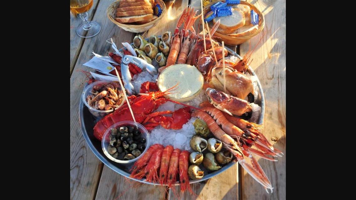 gite l'etoile de mer