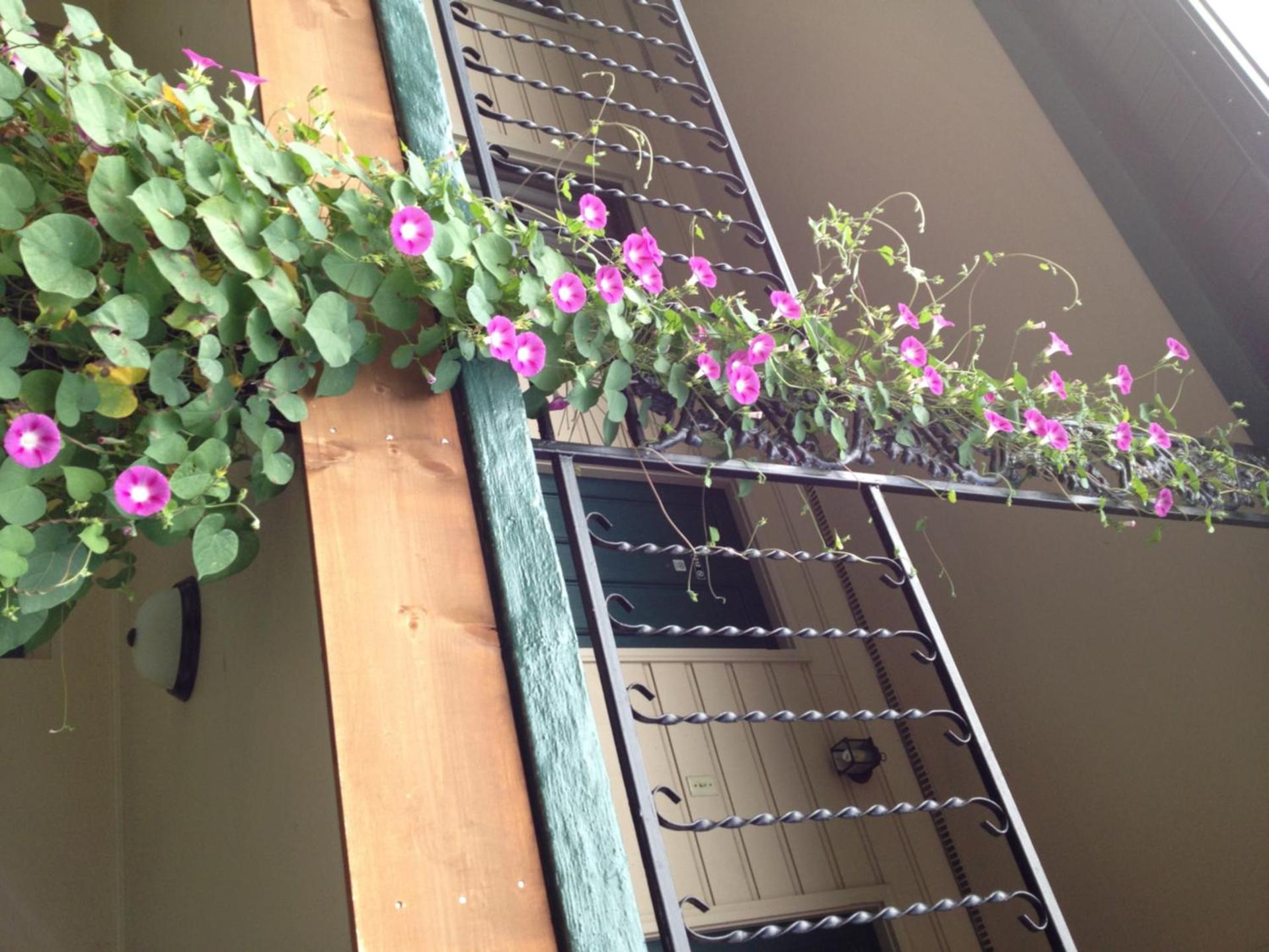 Ridge Top Motel - Bryson City