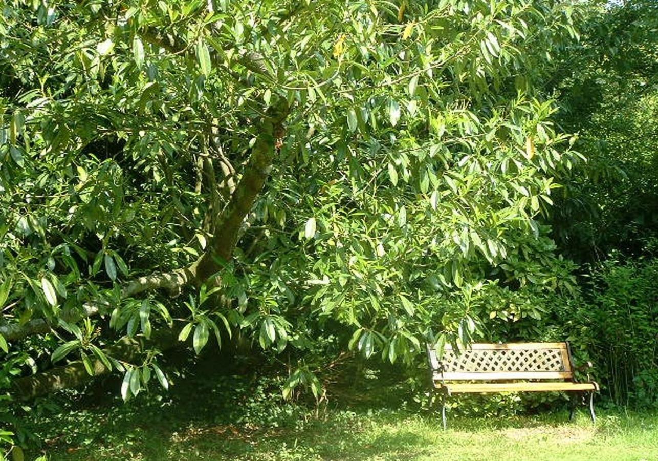 Chambres d'hôtes Le Pont Romain