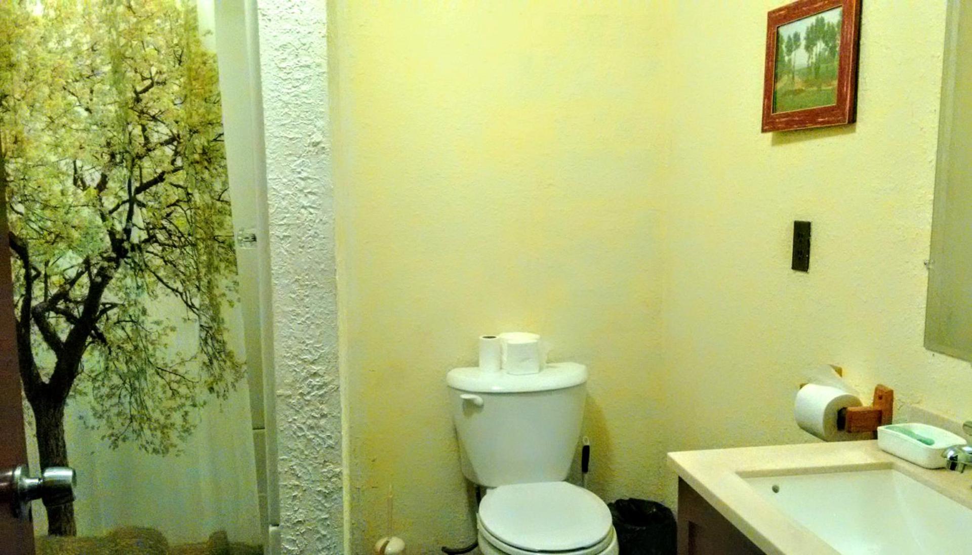 Rooms, RV,Tents in Redwood N&S Park 红木国家公园的房间