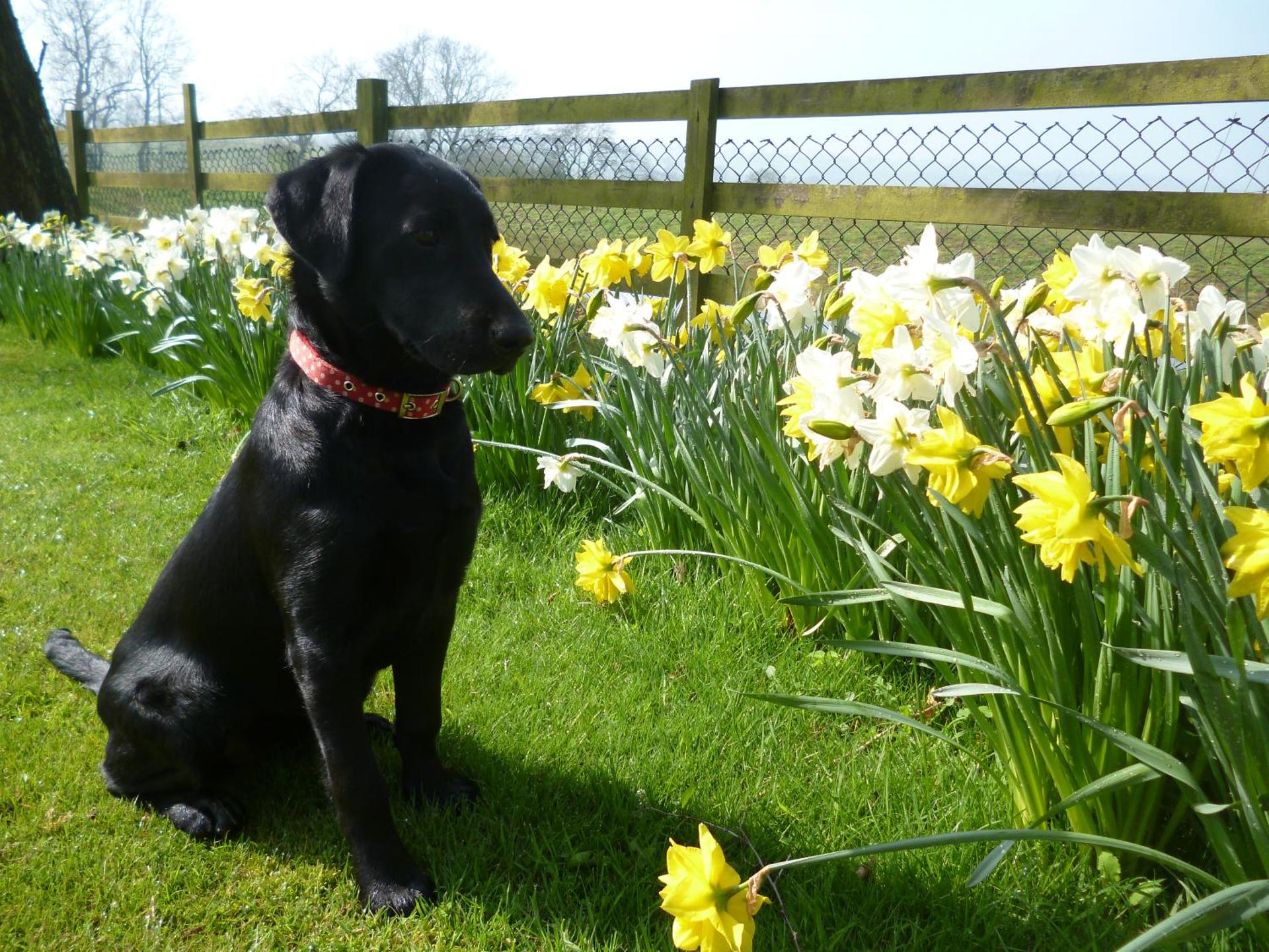 White House Farm Cottages
