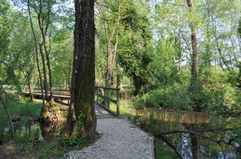 Osteria alle Risorgive