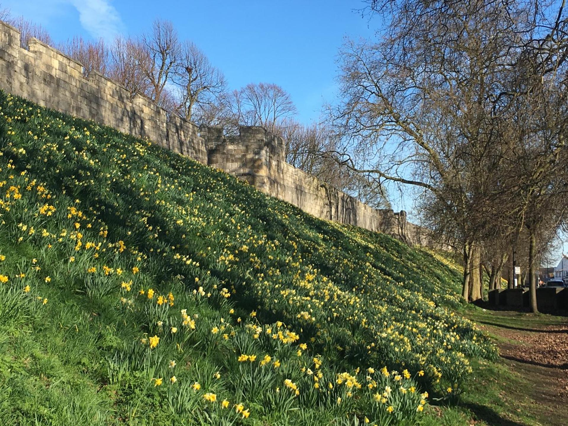 Central York Apartment - Skeldergate YO1