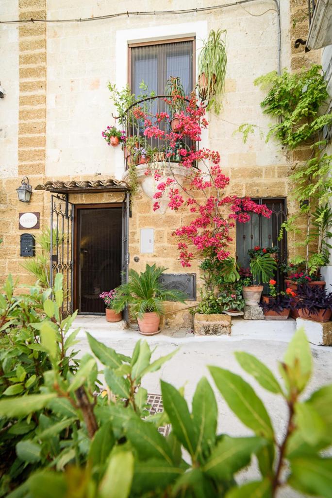 Superior Apartment at Via Rini n.37